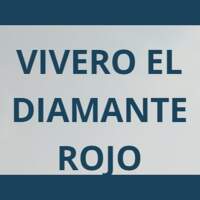 VIVERO EL DIAMANTE ROJO