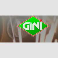 talleres ginisa chapas