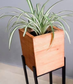 Macetero de Madera Argentina