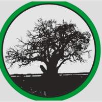 Maderera Misiones Ar