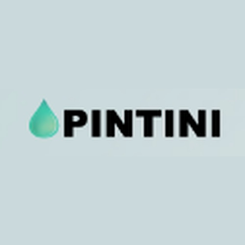 Pintini