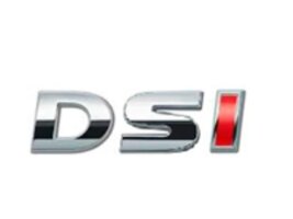 DSI Distribuidora de Seguridad Industrial