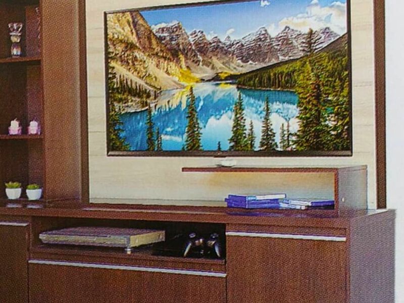 Modular TV Argentina