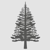 Muebles de Pino Rosario